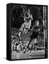 Burke Scott of Hoosiers Basketball Team Leaping Through Air Towards Lay Up Shot at Basketball Hoop-Francis Miller-Framed Stretched Canvas