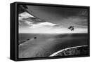 Framed Canvas