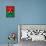 Burkina Faso Flag Butterfly, Isolated On Flag Background-suns_luck-Stretched Canvas displayed on a wall