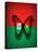 Burkina Faso Flag Butterfly, Isolated On Flag Background-suns_luck-Stretched Canvas