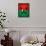 Burkina Faso Flag Butterfly, Isolated On Flag Background-suns_luck-Framed Stretched Canvas displayed on a wall