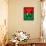 Burkina Faso Flag Butterfly, Isolated On Flag Background-suns_luck-Art Print displayed on a wall