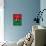 Burkina Faso Flag Butterfly, Isolated On Flag Background-suns_luck-Art Print displayed on a wall