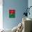 Burkina Faso Flag Butterfly, Isolated On Flag Background-suns_luck-Mounted Art Print displayed on a wall