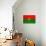 Burkina Faso Flag Design with Wood Patterning - Flags of the World Series-Philippe Hugonnard-Stretched Canvas displayed on a wall
