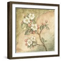 Burlap Cherry Blossom-Tina Chaden-Framed Art Print