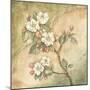 Burlap Cherry Blossom-Tina Chaden-Mounted Art Print