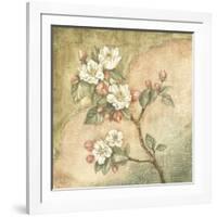 Burlap Cherry Blossom-Tina Chaden-Framed Art Print