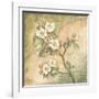 Burlap Cherry Blossom-Tina Chaden-Framed Art Print