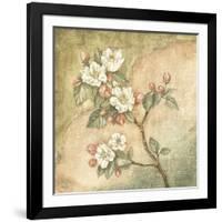 Burlap Cherry Blossom-Tina Chaden-Framed Art Print