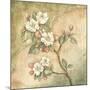 Burlap Cherry Blossom-Tina Chaden-Mounted Art Print