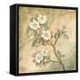 Burlap Cherry Blossom-Tina Chaden-Framed Stretched Canvas