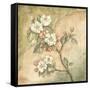 Burlap Cherry Blossom-Tina Chaden-Framed Stretched Canvas