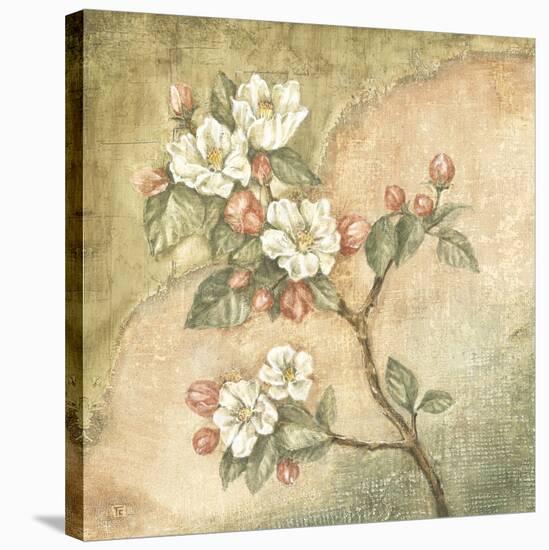 Burlap Cherry Blossom-Tina Chaden-Stretched Canvas