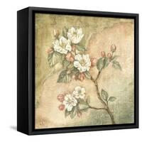 Burlap Cherry Blossom-Tina Chaden-Framed Stretched Canvas