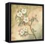 Burlap Cherry Blossom-Tina Chaden-Framed Stretched Canvas