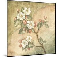 Burlap Cherry Blossom-Tina Chaden-Mounted Art Print