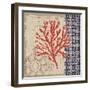 Burlap Coral II-Paul Brent-Framed Art Print