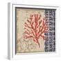 Burlap Coral II-Paul Brent-Framed Art Print