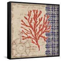 Burlap Coral II-Paul Brent-Framed Stretched Canvas