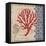 Burlap Coral IV-Paul Brent-Framed Stretched Canvas