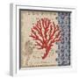 Burlap Coral IV-Paul Brent-Framed Art Print