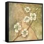 Burlap Dogwood Blossom-Tina Chaden-Framed Stretched Canvas