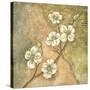 Burlap Dogwood Blossom-Tina Chaden-Stretched Canvas