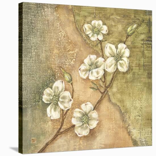 Burlap Dogwood Blossom-Tina Chaden-Stretched Canvas