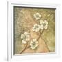 Burlap Dogwood Blossom-Tina Chaden-Framed Art Print