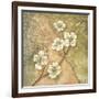 Burlap Dogwood Blossom-Tina Chaden-Framed Art Print