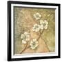 Burlap Dogwood Blossom-Tina Chaden-Framed Art Print