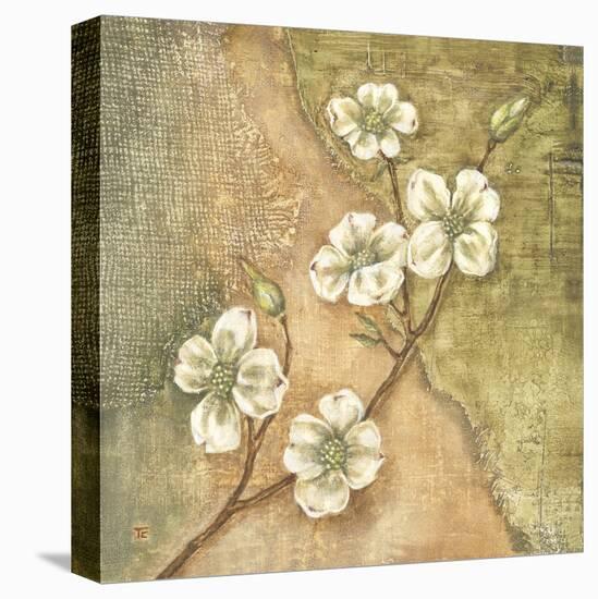 Burlap Dogwood Blossom-Tina Chaden-Stretched Canvas