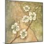 Burlap Dogwood Blossom-Tina Chaden-Mounted Art Print