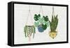 Burlap Hanging Plants-Kimberly Allen-Framed Stretched Canvas