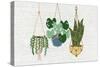 Burlap Hanging Plants-Kimberly Allen-Stretched Canvas