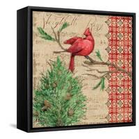 Burlap Holiday II-Paul Brent-Framed Stretched Canvas