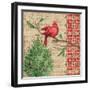 Burlap Holiday II-Paul Brent-Framed Art Print