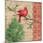 Burlap Holiday II-Paul Brent-Mounted Art Print