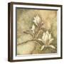 Burlap Magnolia I-Tina Chaden-Framed Art Print