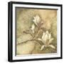 Burlap Magnolia I-Tina Chaden-Framed Art Print