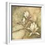 Burlap Magnolia I-Tina Chaden-Framed Art Print