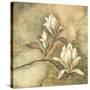 Burlap Magnolia I-Tina Chaden-Stretched Canvas