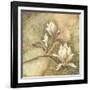 Burlap Magnolia I-Tina Chaden-Framed Art Print