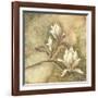 Burlap Magnolia I-Tina Chaden-Framed Art Print