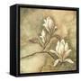 Burlap Magnolia I-Tina Chaden-Framed Stretched Canvas
