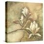 Burlap Magnolia I-Tina Chaden-Stretched Canvas