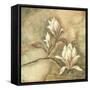 Burlap Magnolia I-Tina Chaden-Framed Stretched Canvas