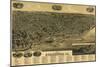 Burlington, Iowa - Panoramic Map-Lantern Press-Mounted Art Print