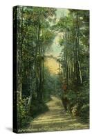 Burlington, Vermont, View of a Drive in Ethan Allen Park-Lantern Press-Stretched Canvas